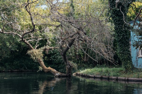 Rhumatologie pédiatrique : les aspects spécifiques de cette discipline